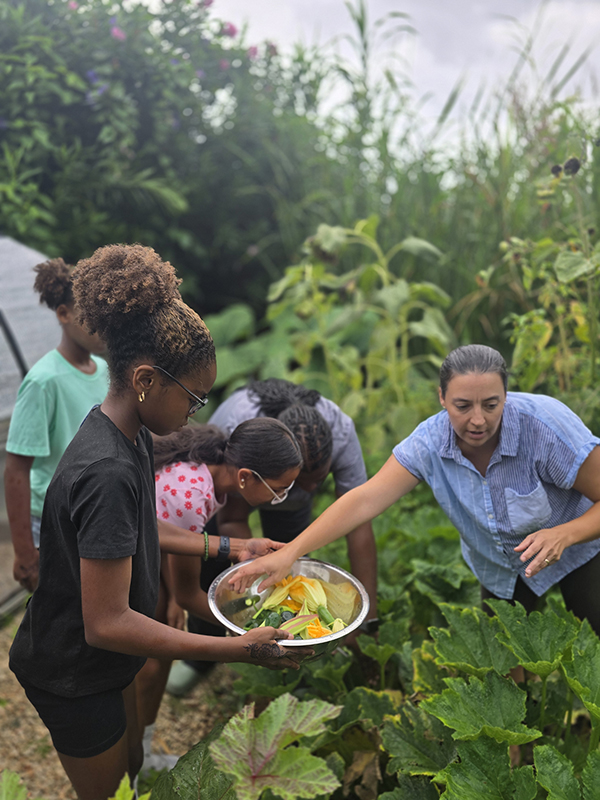 Young Chefs Bermuda July 30 2025 2