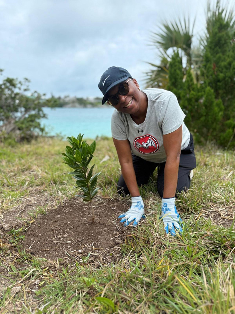 Bacardi Bermuda August 2025 (2)