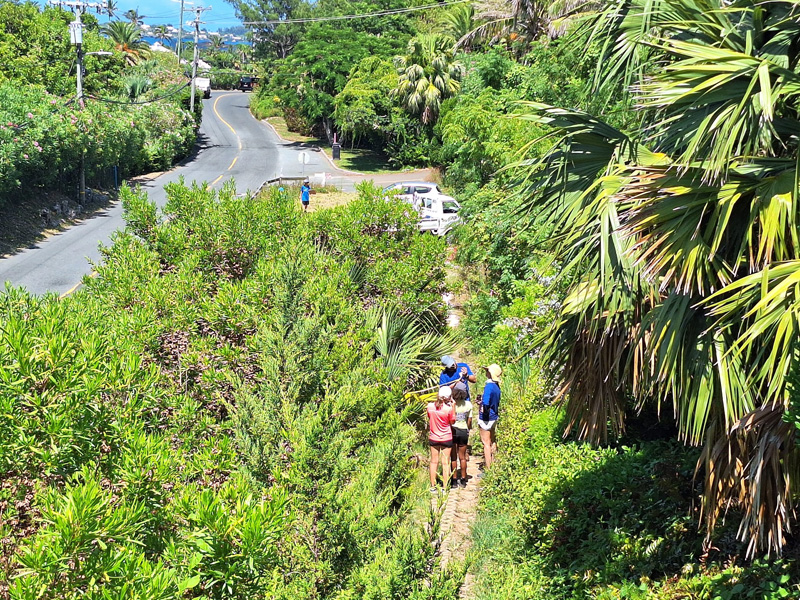 Bermuda Zoological Society Sept 2025 (1)