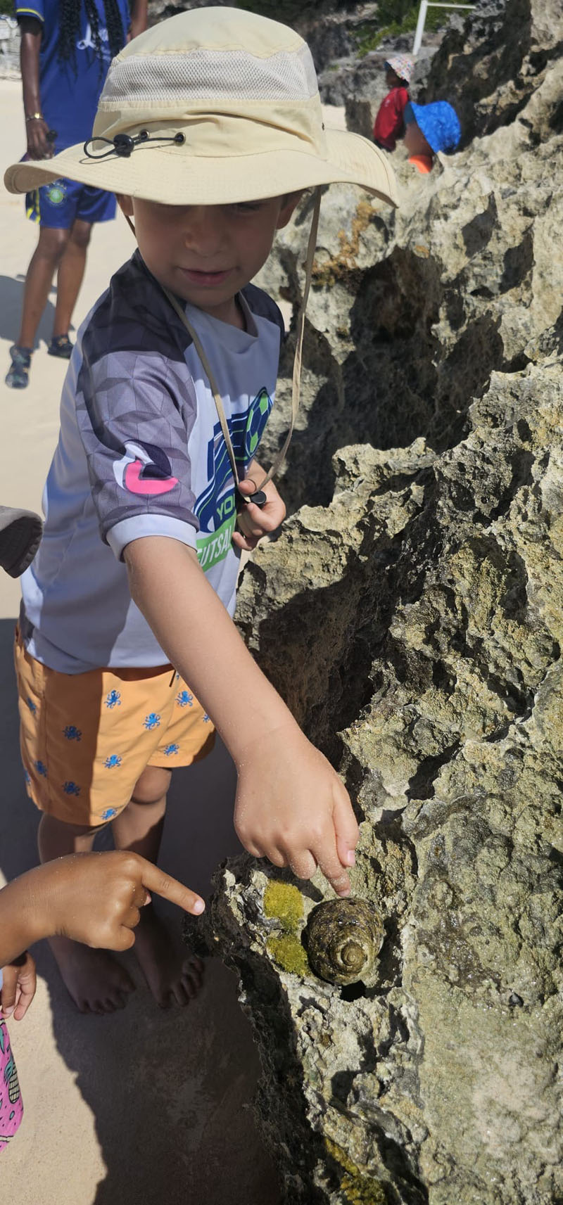 Chatmore Beach Schooling Sept 2025 (4)