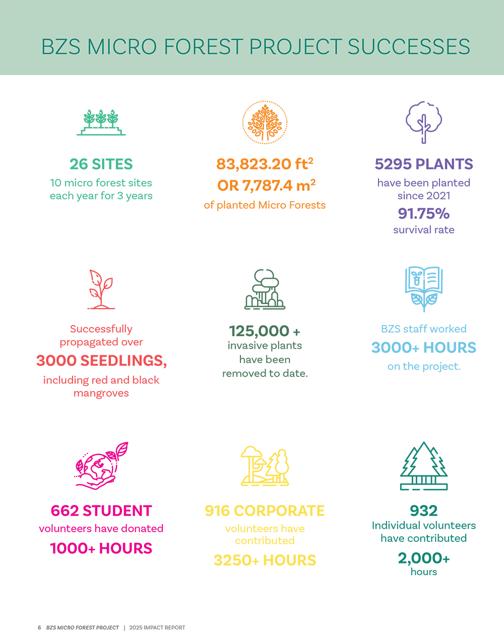 Micro Forest Project Report Bermuda Sept 12 2025