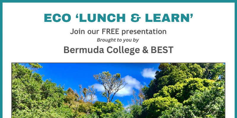 Eco Lunch & Learn On Mental Health On Sept 25