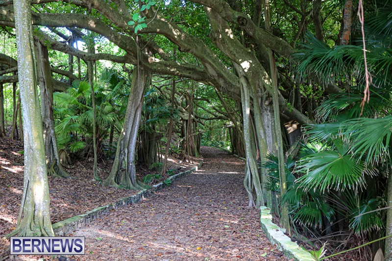 5 A peaceful day at Southlands