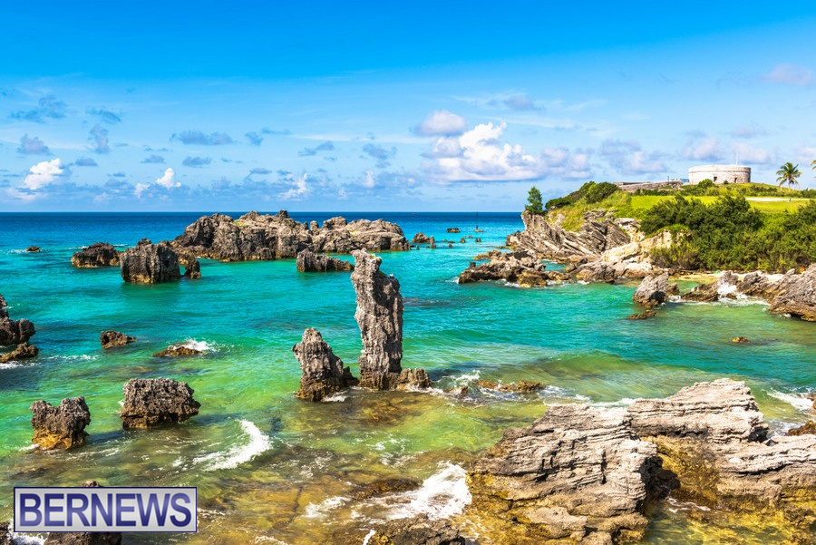 9 Nature's artwork in the east end