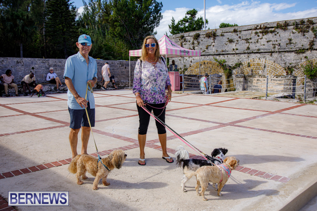 Fort Albert Open Day Bermuda October 25 2025 DF (71)