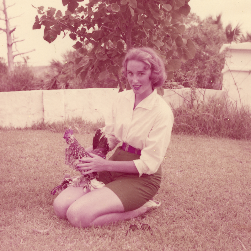 Janet Fish Bermuda Oct 14 2025 1957 Janet with chicken