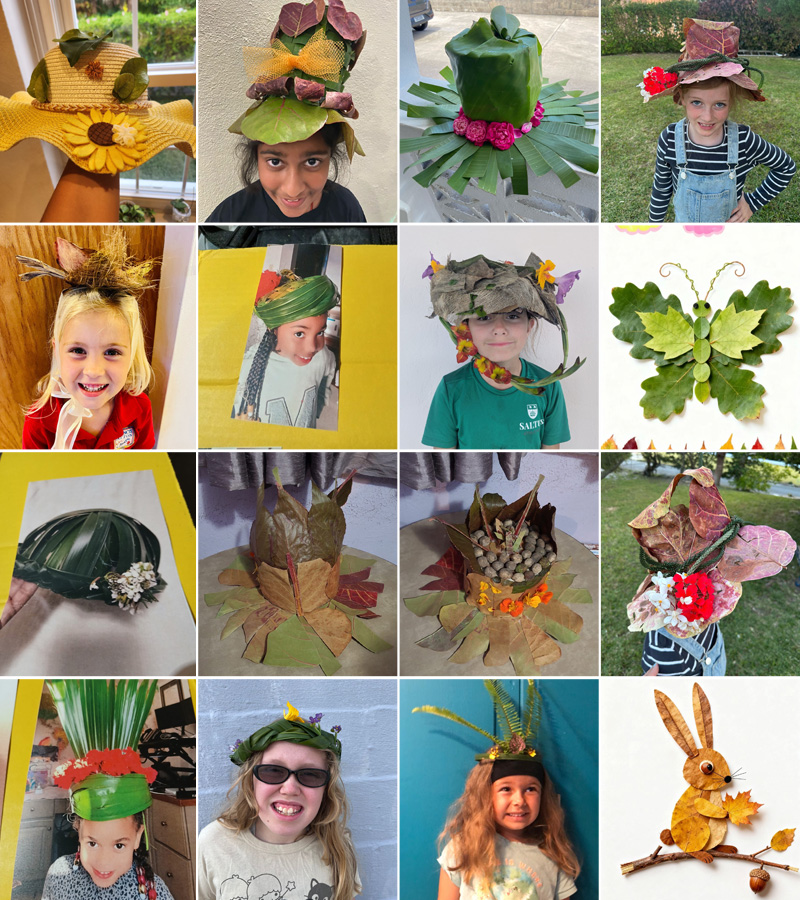 Natural Enviro Artistry Bermuda October 2025