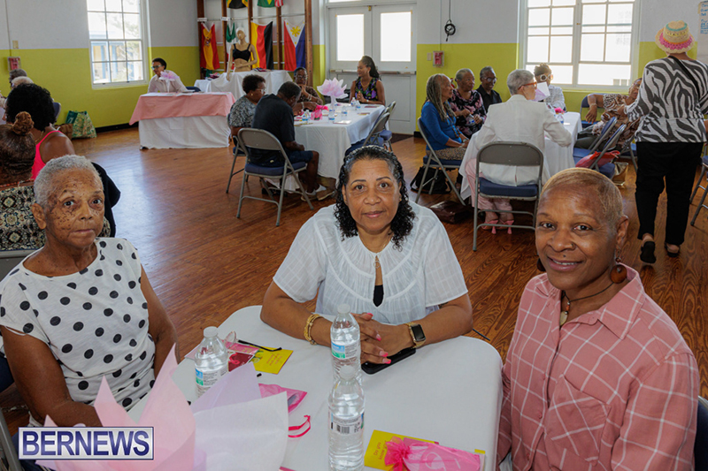PLP Breast Cancer Awareness Bermuda October 30 2025 DF-16