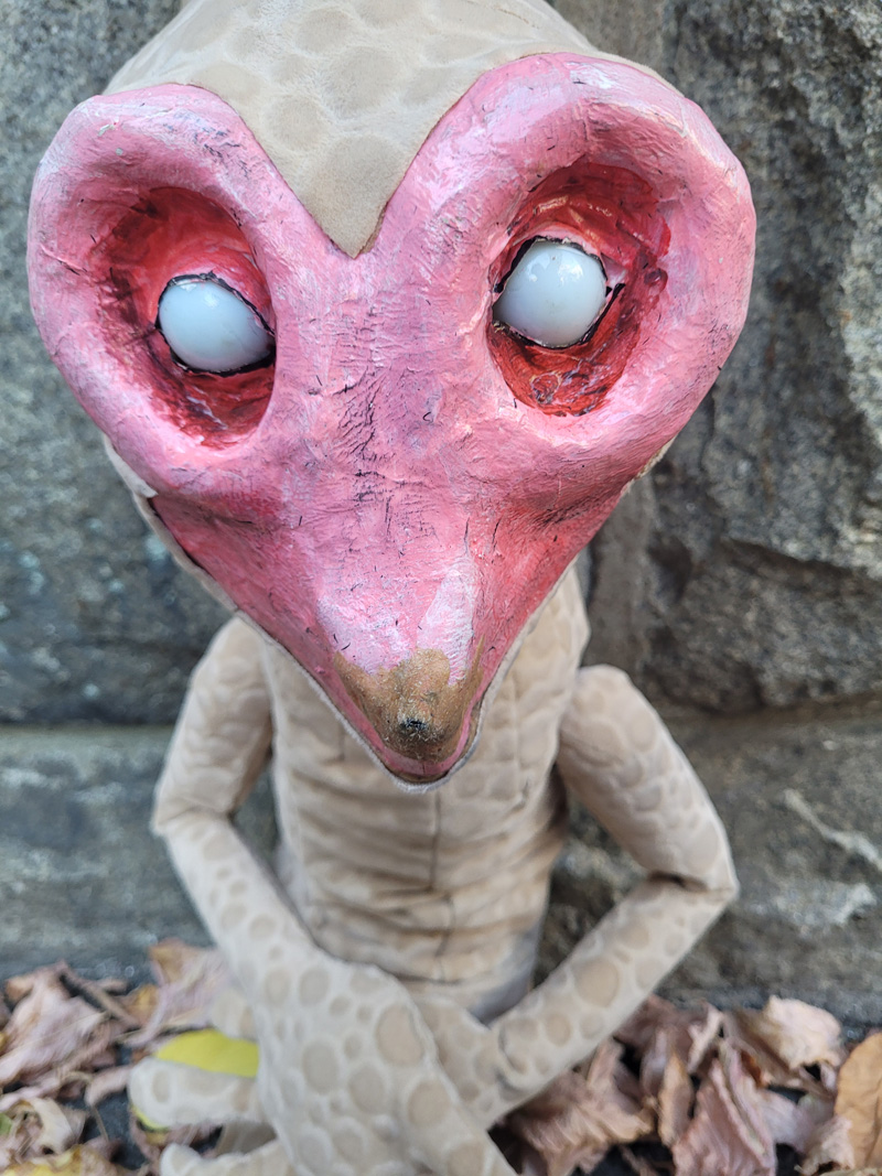 The War of the Newts Bermuda Oct 2025 (4)