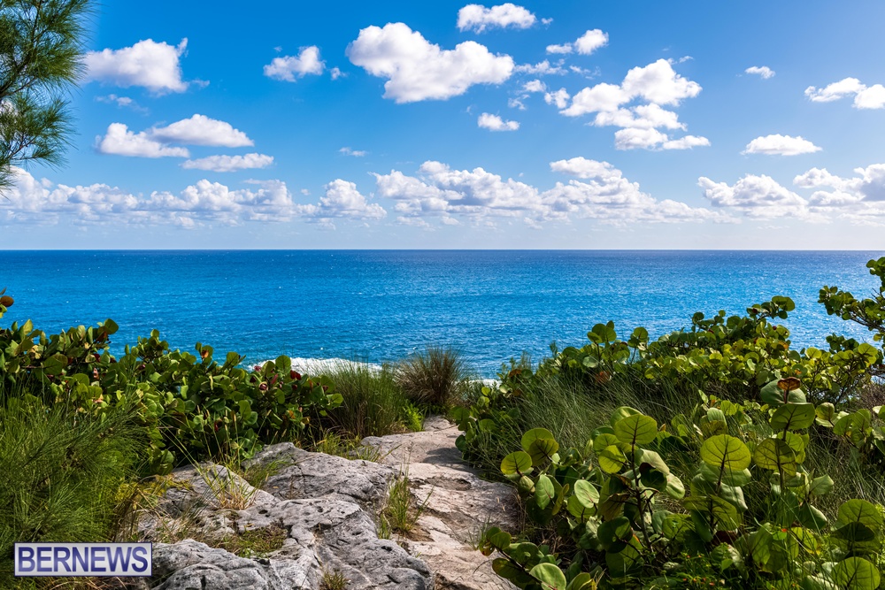 5 Looking out at the horizon