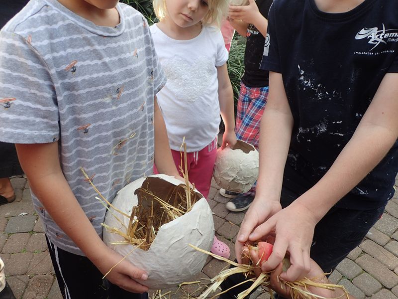 BZS Christmas Mix & Match Sessions Bermuda Nov 2025 (3)