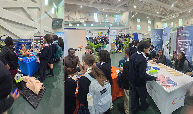 Berkeley Institute Bermuda Nov 18 2025