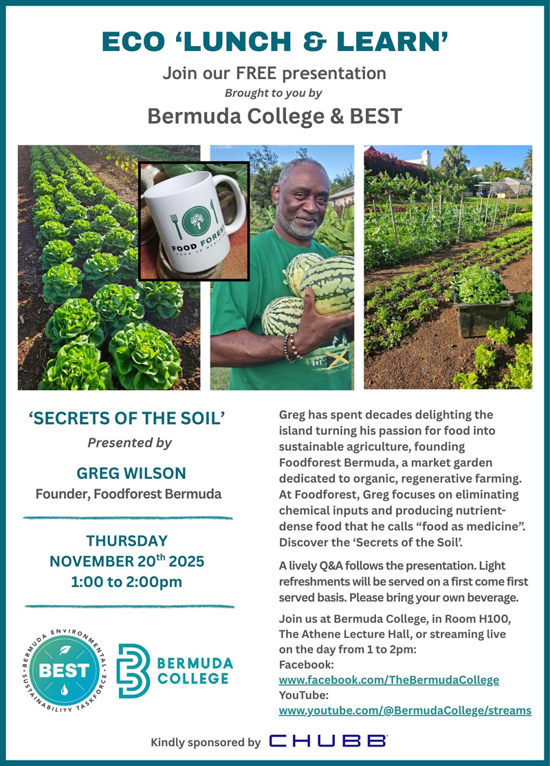 Eco L&L - Nov. '25 - 1