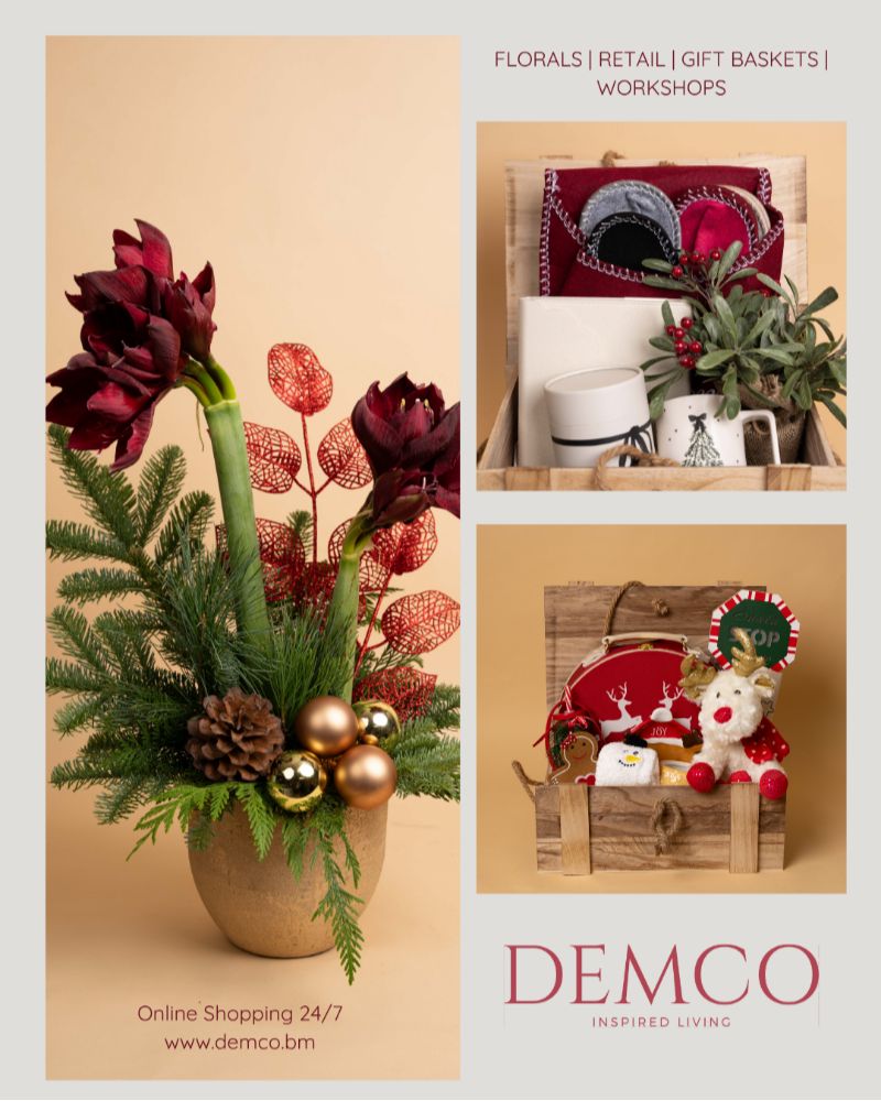 Mikaela Ian Pearman Holiday Edit Bermuda Nov 2025 (2)