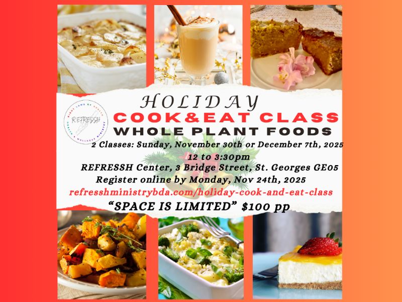 Mikaela Ian Pearman Holiday Edit Bermuda Nov 2025 (4)