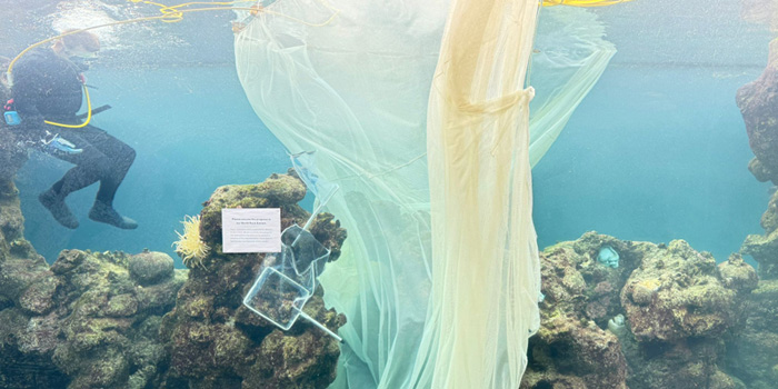 BAMZ Begins Upgrade To North Rock Exhibit