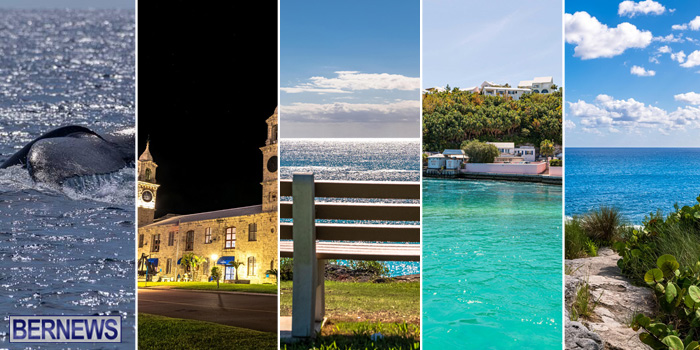 November 2025 Top 10 Bernews Photo Of Day WM