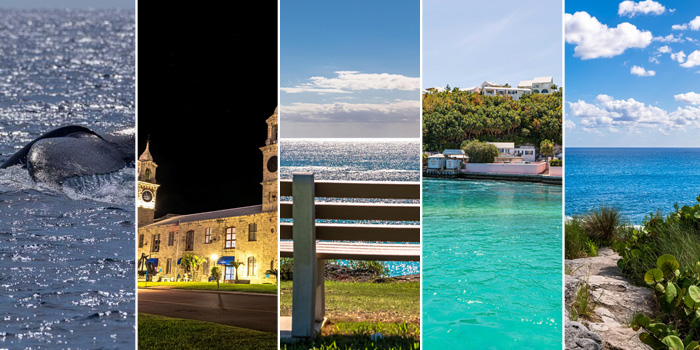 November 2025: Top 10 Bernews “Photo Of Day”