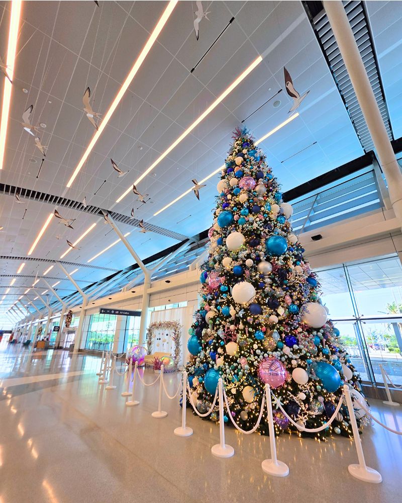 Skyport Carol-Off L.F. Wade Bermuda Nov 2025 (1)