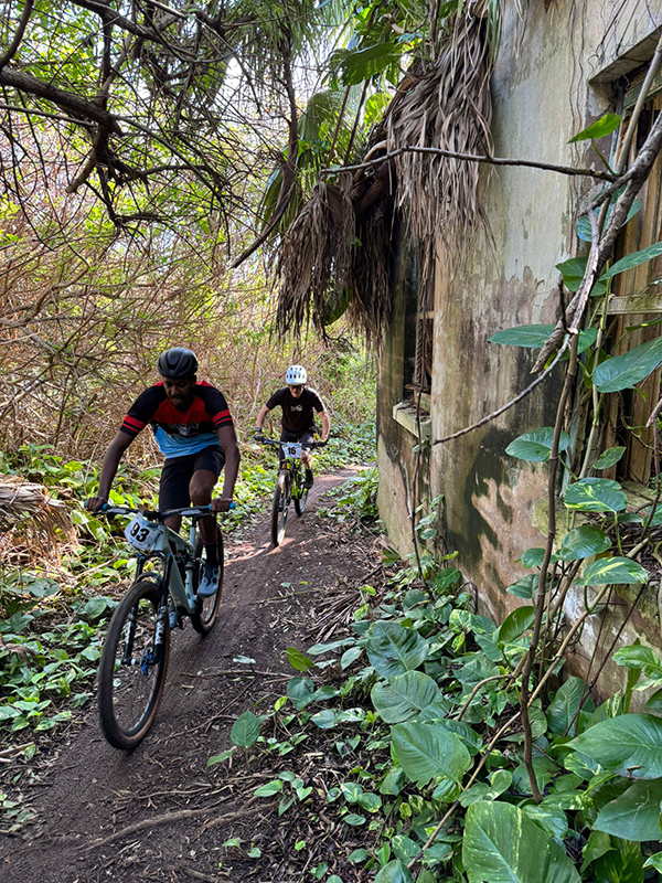 cycling Bermuda Nov 20 2025 3