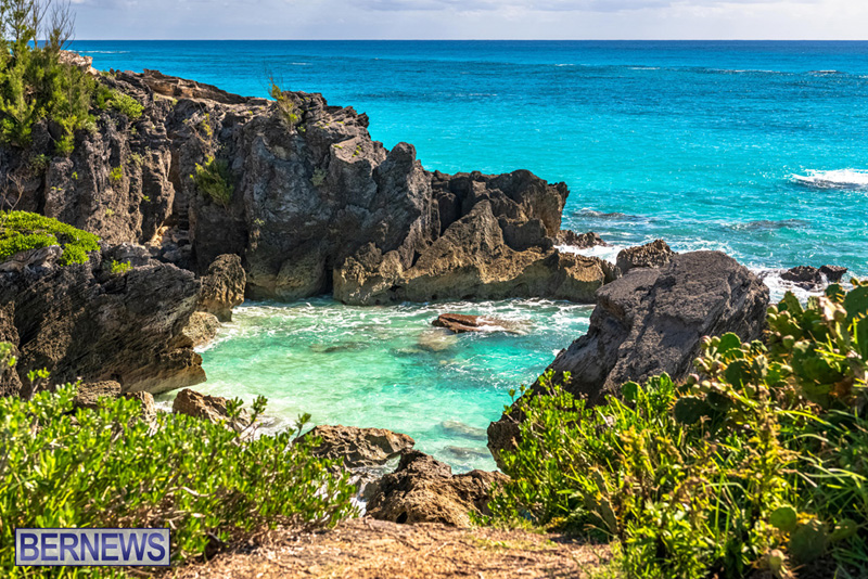 1 A look at some of the simple and natural beauty of Bermuda