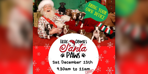 Santa Paws Fundraiser On December 13