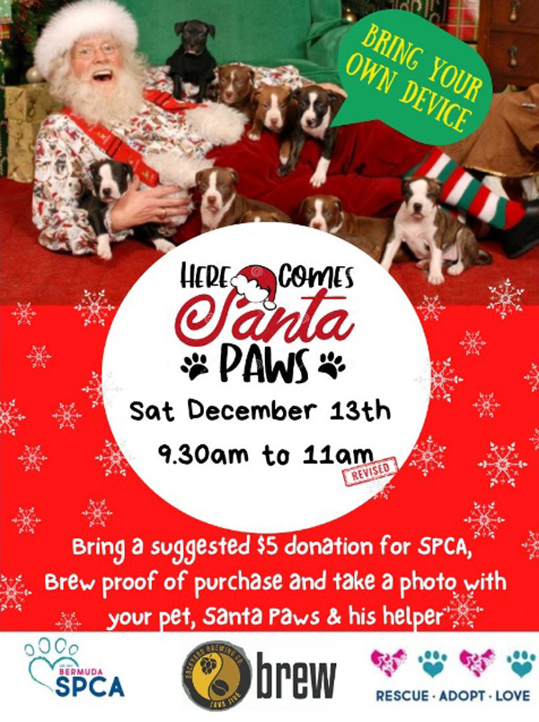 Bermuda SPCA Santa Paws Fundraiser Dec 2025