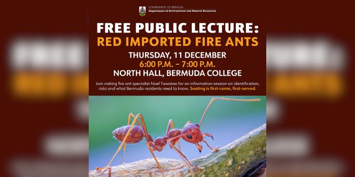 Red Fire Ants Info Session On December 11