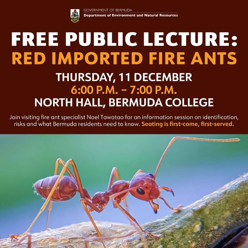Red Imported Fire Ants Session Bermuda College Bermuda Dec 2025