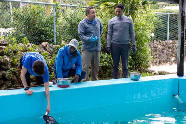 BAMZ Bermuda Jan 27 2026 3