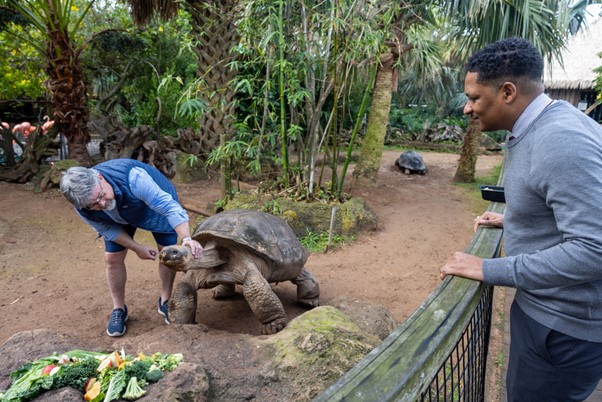 BAMZ Bermuda Jan 27 2026 7