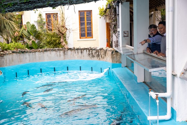 BAMZ Bermuda Jan 27 2026 8