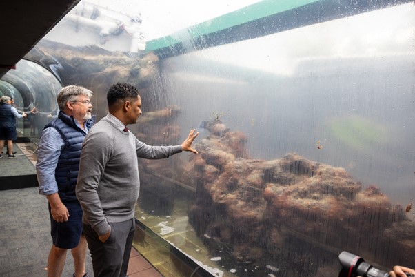 BAMZ Bermuda Jan 27 2026 9