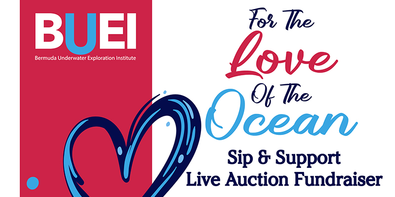 BUEI: Sip & Support Auction Fundraiser On Feb 5