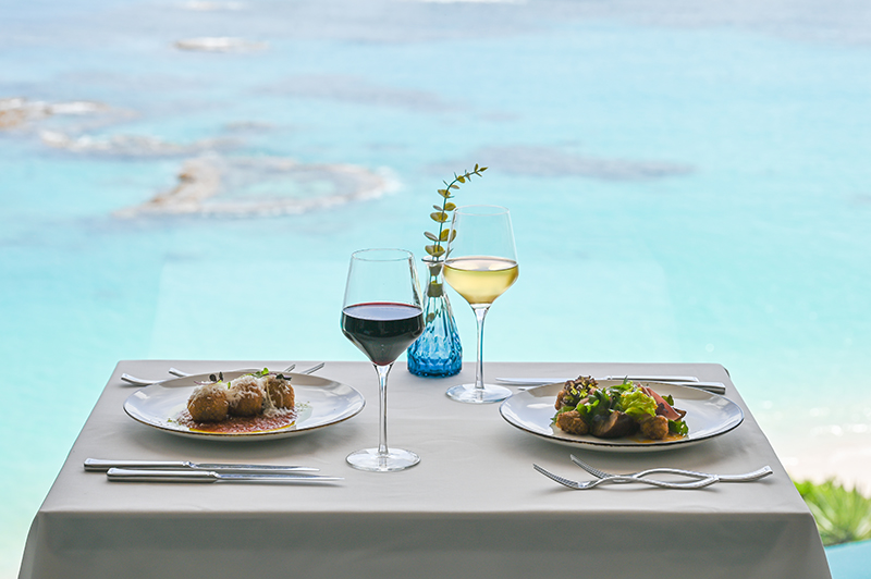 The Bermuda Edit Jan 29 2026 TheReefs