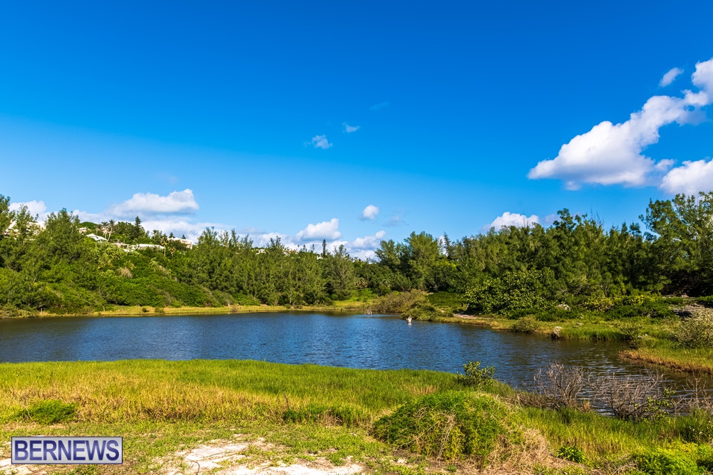 10 The vibrant colors of nature at the Spittal Pond nature reserve