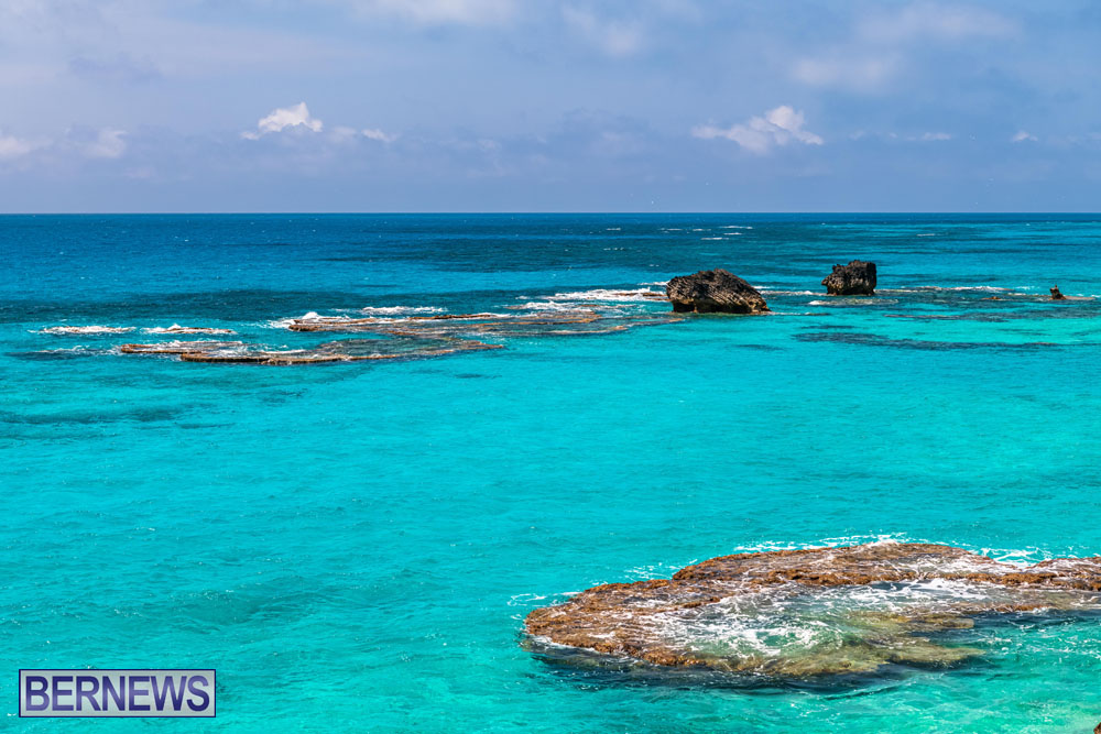 2 Nature’s colours in Bermuda’s ocean