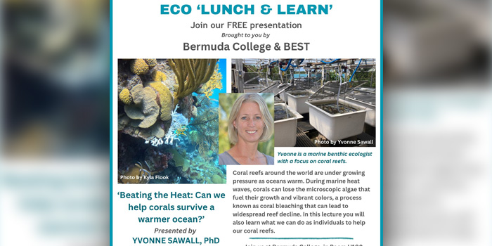 Eco Lunch & Learn On Coral Reefs On Feb 26