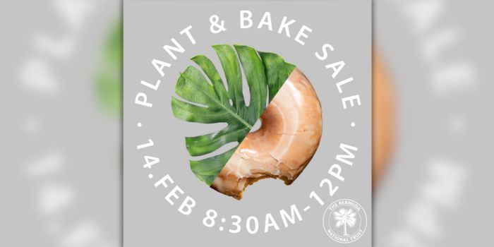 BNT’s Plant & Bake Sale On February 14th