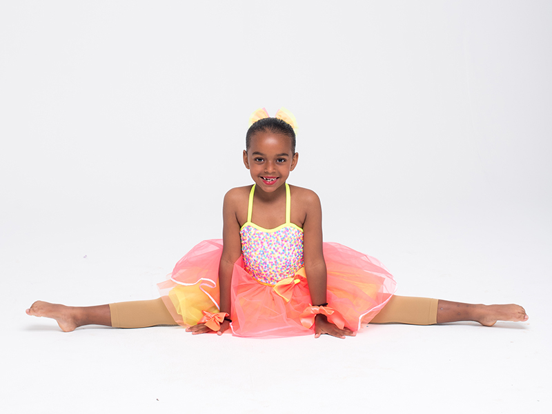 Dancer Bermuda Feb 12 2026 9