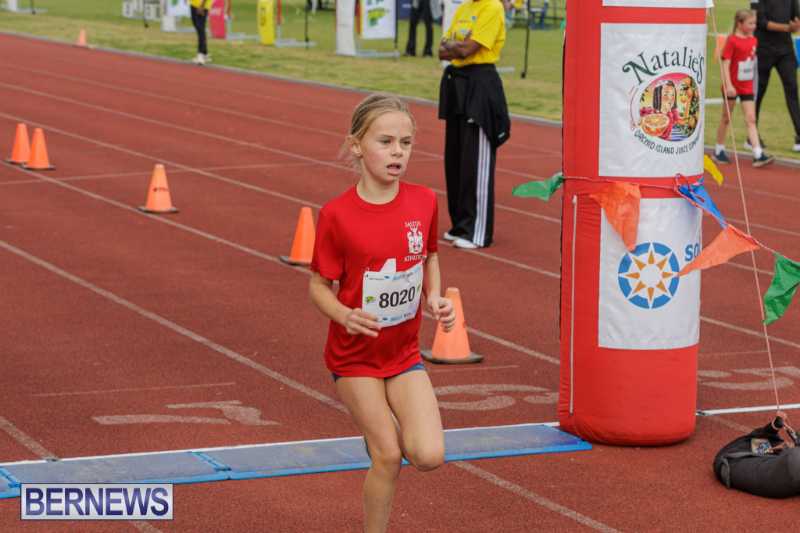 Skyport Magic Mile Event Bermuda Feb 2026 (137)