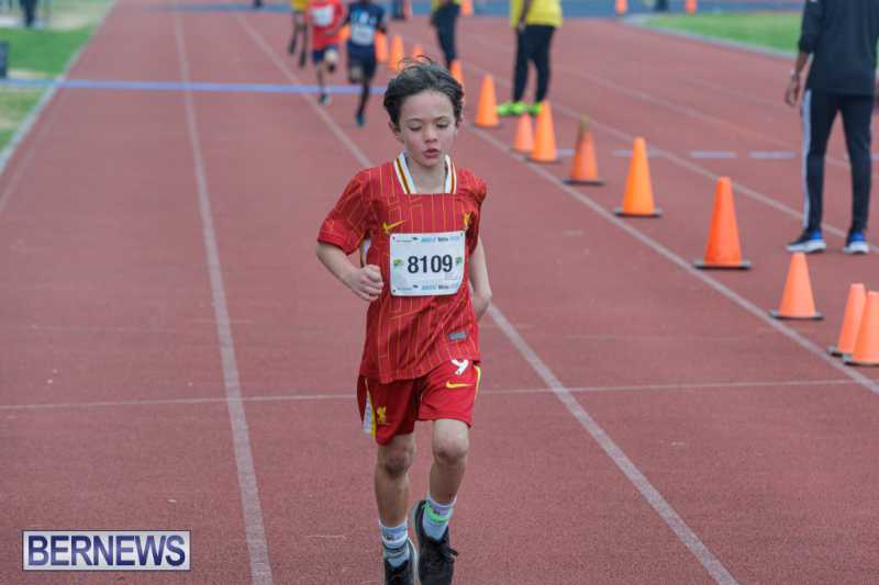 Skyport Magic Mile Event Bermuda Feb 2026 (146)