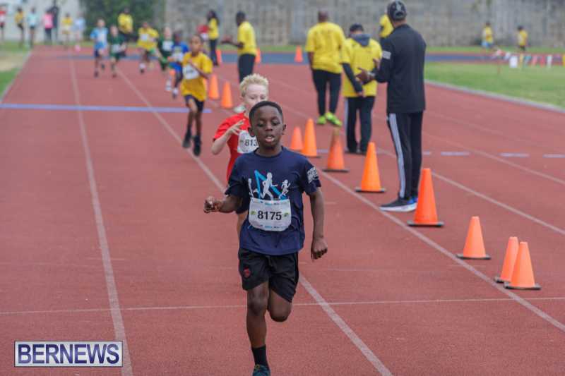 Skyport Magic Mile Event Bermuda Feb 2026 (147)