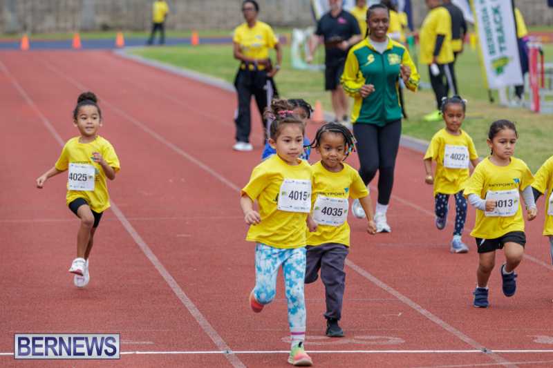 Skyport Magic Mile Event Bermuda Feb 2026 (20)
