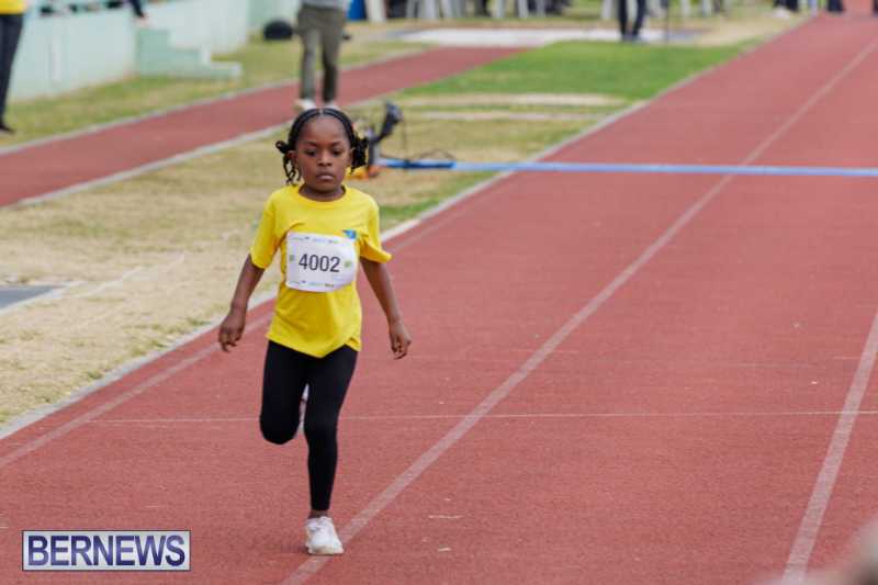 Skyport Magic Mile Event Bermuda Feb 2026 (21)