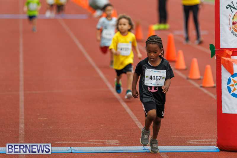 Skyport Magic Mile Event Bermuda Feb 2026 (33)