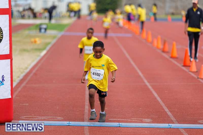 Skyport Magic Mile Event Bermuda Feb 2026 (42)
