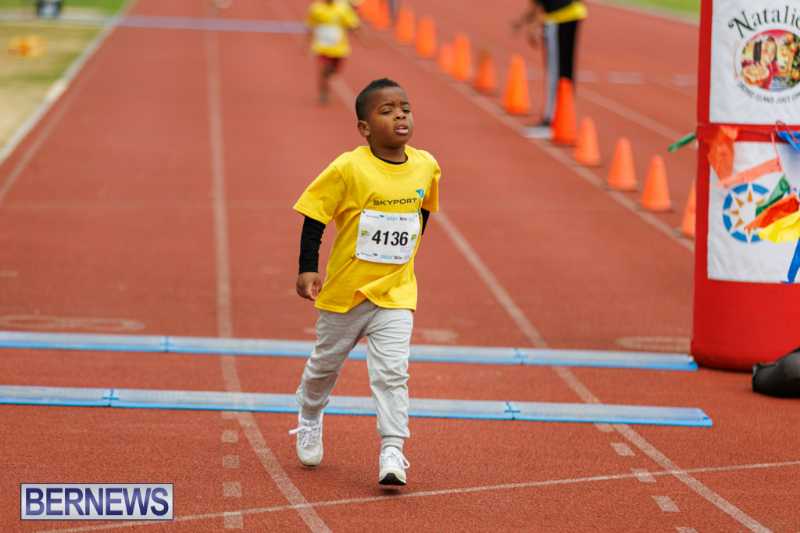 Skyport Magic Mile Event Bermuda Feb 2026 (43)