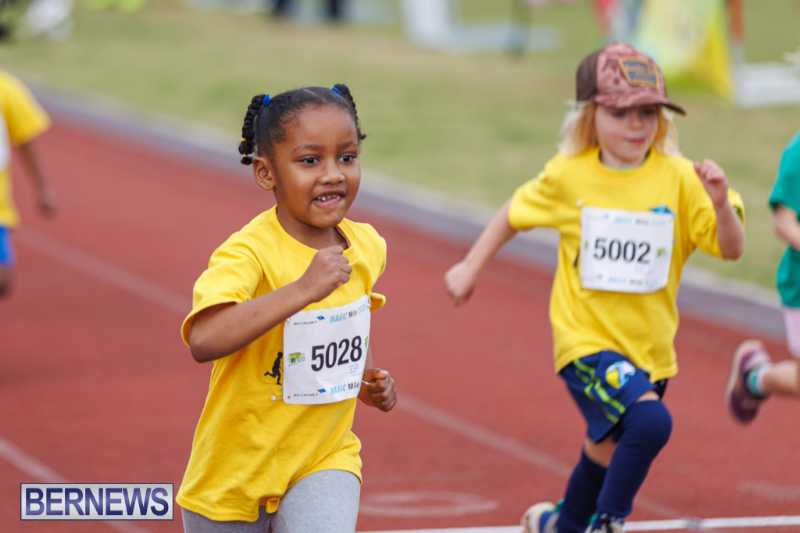 Skyport Magic Mile Event Bermuda Feb 2026 (50)