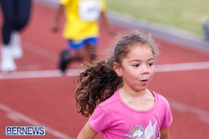 Skyport Magic Mile Event Bermuda Feb 2026 (51)